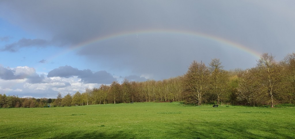 Green meadow with rainbow
