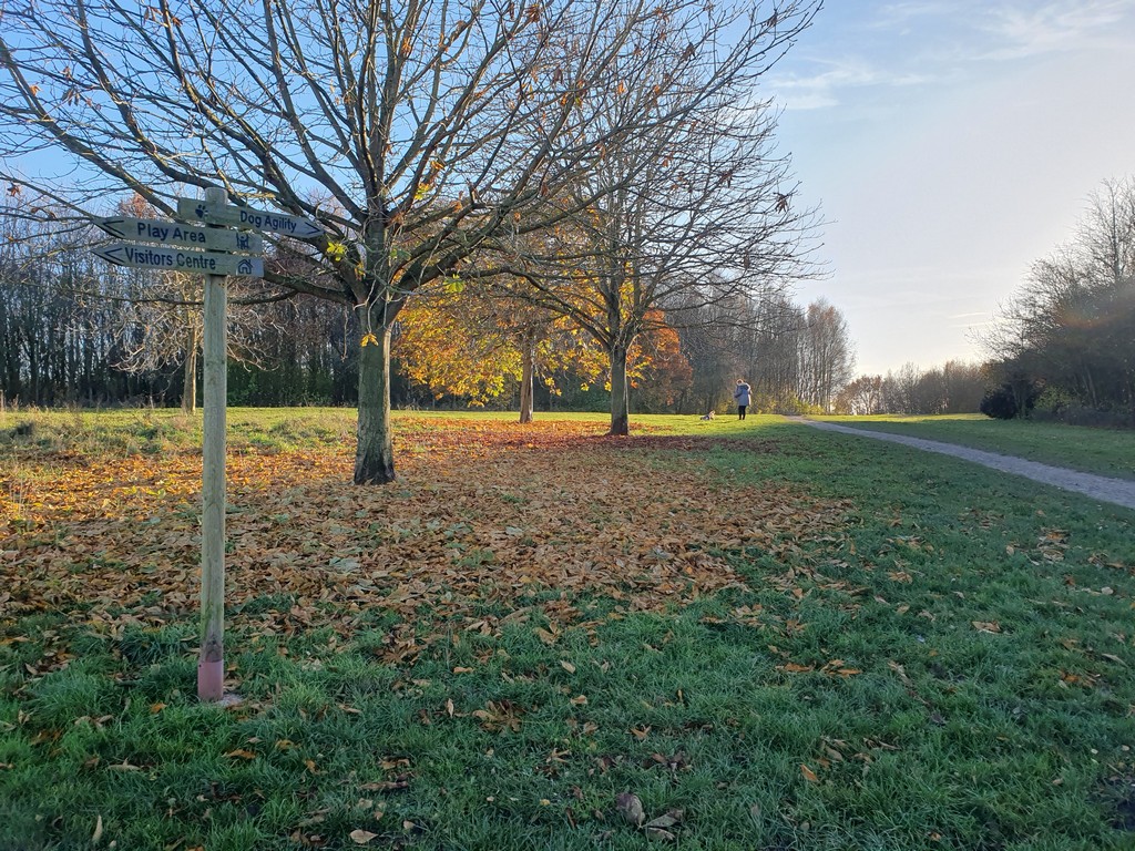 Autumn directional sign