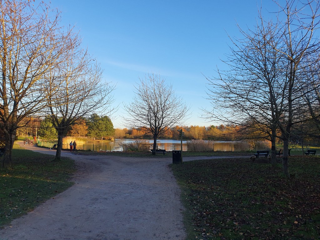 Wide path with distant lake view