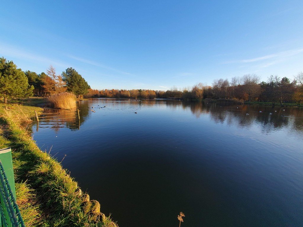 Lake scenery with birds in the distance