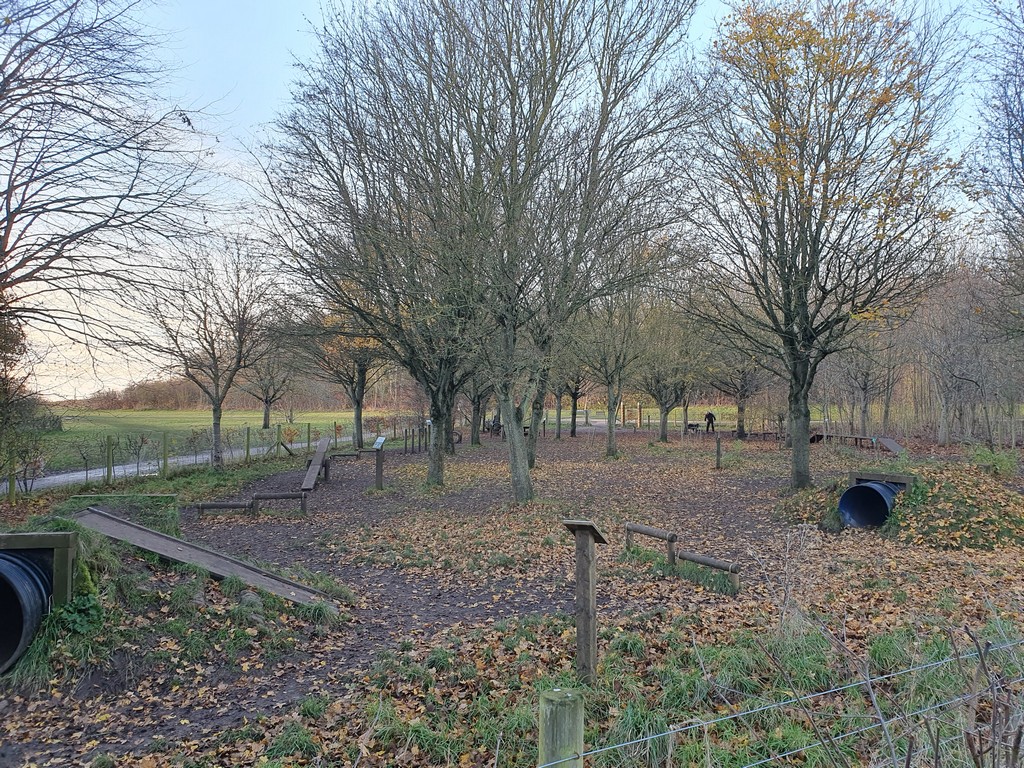 Dogs navigating obstacle course