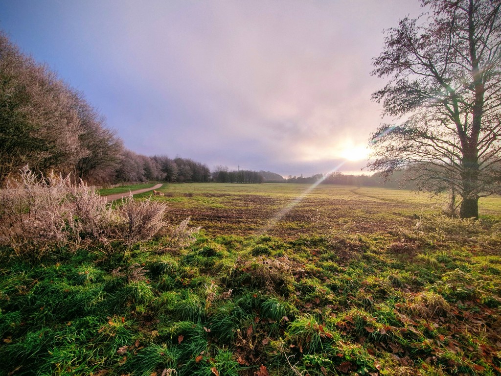 Sun peering through cloudy skies